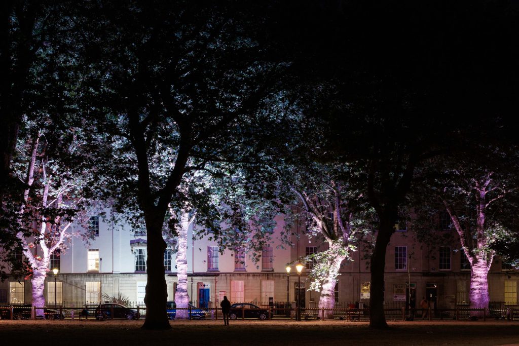 A line of tree being lit up by different colour lights.